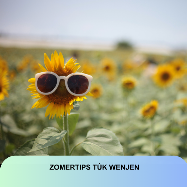 Een zonnebloem met een zonnebril staat in een zonnebloemveld. Tekst in het Fries onderaan luidt: "Zomertips Tûk Wenjen.