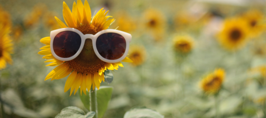 Een zonnebloem met een zonnebril staat in een zonnebloemveld. Tekst in het Fries onderaan luidt: "Zomertips Tûk Wenjen.